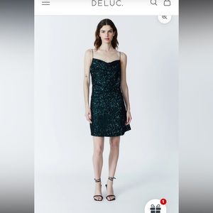 Stunning Dèluc sequence dress new with tags Size XS